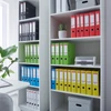 Iratrendező A/4 5cm Standard neonzöld ESSELTE -624073-