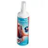 Monitortisztító spray 250ml Dataline 67658 ESSELTE