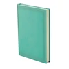 TOPTIMER Határidőnapló A/5 napi ACE A021 MENTA Előjegyzési naptár Agenda 150x210mm
