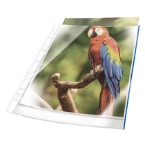 Genotherm A/4 lefűzhető víztiszta színes szélű DURABLE PRÉMIUM 80 mikron kék 10db/csomag