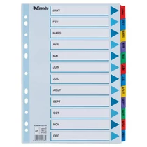 Regiszter A/4 Január-December karton hónapregiszter Mylar ESSELTE elválasztólap -100165-