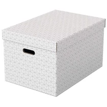 Tárolódoboz szett ESSELTE Home L méret 3db-os fehér