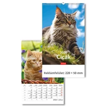 TOPTIMER Falinaptár Cicák T094-11 220x325mm TOPTIMER Falinaptár Cicák T094-11 220x325mm