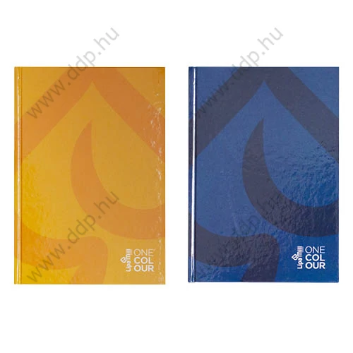 Beíró A/4 96 lap, egyszínű vonalas kemény fedeles EDUCA -2100-