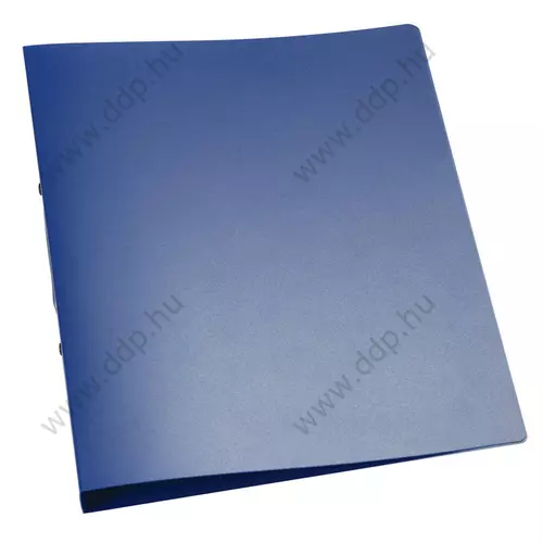 Gyűrűskönyv A/4 2 gyűrűs 25mm áttetsző kék Q-CONNECT -KF02483-