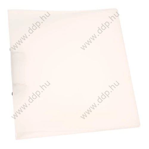 Gyűrűskönyv A/4 2 gyűrűs 25mm áttetsző átlátszó Q-CONNECT -KF02487-
