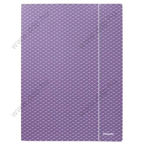Iratgyűjtő gumis A/4 karton ESSELTE Colour'Breeze világos lila mappa 62849