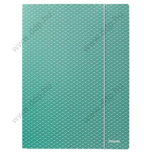 Iratgyűjtő gumis A/4 karton ESSELTE Colour'Breeze zöld mappa 62849