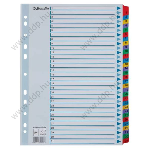Regiszter A/4 1-31 részes karton Mylar számregiszter ESSELTE elválasztólap -100164-