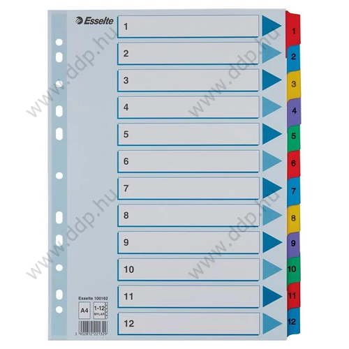 Regiszter A/4 1-12 részes karton számregiszter Mylar ESSELTE elválasztólap -100162-