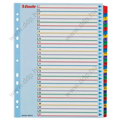 Regiszter újraírható Esselte A4 1-31 részes számregiszter elválasztólap -100210-