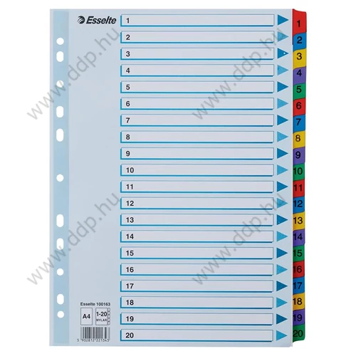 Regiszter A/4 1-20 részes karton számregiszter ESSELTE Mylar elválasztólap -100163-