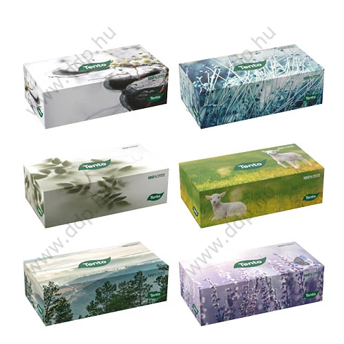 Kozmetikai kendő Tento Familybox 2 rétegű 120 lap