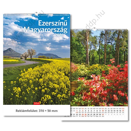TOPTIMER Falinaptár Ezerszínű Magyarország T093-07 310x420mm